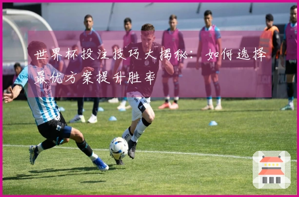 世界杯投注技巧大揭秘：如何选择最优方案提升胜率