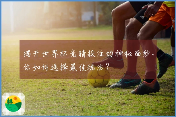揭开世界杯竞猜投注的神秘面纱，你如何选择最佳玩法？